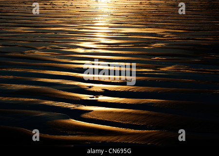 Sand ripples reflecting sunset light on beach at low tide Stock Photo