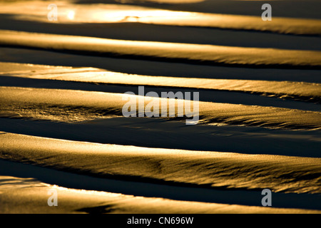 Sand ripples reflecting sunset light at low tide Stock Photo