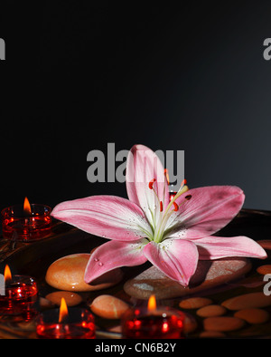 Zen atmosphere at spa salon, warm candles light at dark room, the spa stones in water with fresh pink lily, relaxation Stock Photo