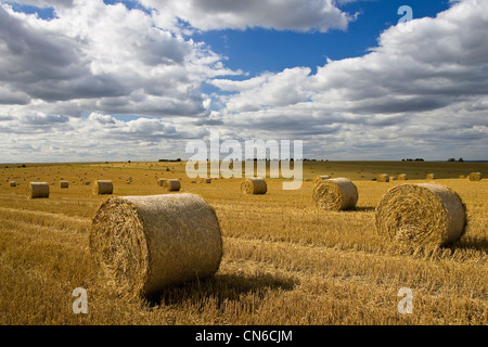 Straw bales, Swinbrook, Cotswolds, United Kingdom Stock Photo