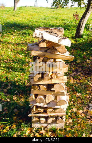 Birch firewood loaded in stack on meadow covered with autumn leaves. Natural organic fuel for fireplace. Stock Photo