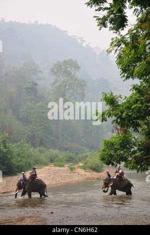 Elephant river trek at Maetaman Elephant Camp, near Chiang Mai, Chiang Mai Province, Thailand Stock Photo