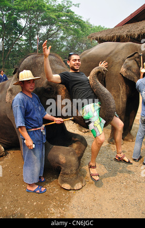 man-sitting-on-trunk-of-elephant-at-the-elephant-show-maetaman-elephant-cn6jgc.jpg