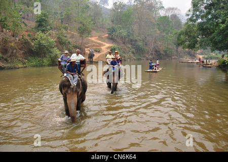 Elephant river trek at Maetaman Elephant Camp, near Chiang Mai, Chiang Mai Province, Thailand Stock Photo