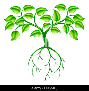 Green tree graphic design concept with long roots Stock Photo