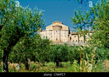 Europe Italy Abruzzo Province of Chieti Fossacesia San Giovanni in Venere Abbey apse between the olive trees Stock Photo