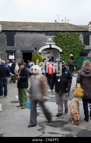 Middleham Open Stables Day, Good Friday 2012 on the 6th April at Leyburn, North Yorkshire Dales, UK Stock Photo