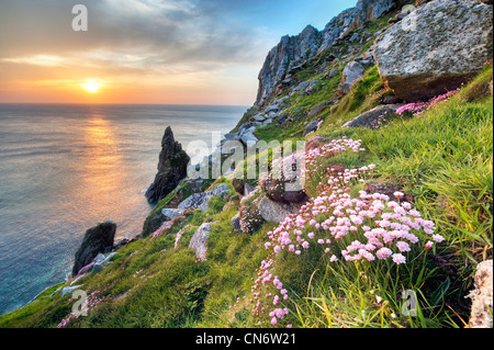 Bosigran Cliff on the Cornish coast at sunset, England, Great Britain Stock Photo