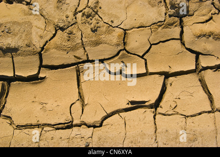 Ausgetrockneter Boden - Dried soil Stock Photo