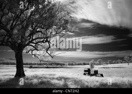 Farm, machinary and tree, Bega Valley, NSW AUSTRALIA Stock Photo