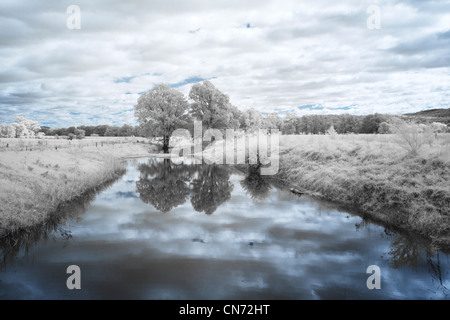 Two trees country landscape and Creek, Bega Valley, NSW AUSTRALIA.  infrared image Stock Photo