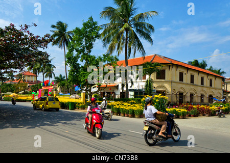Motorbike Traffic Drives Past Yellow Chrysanthemums For Sale on the Road Side During Tet, Hoi An, Vietnam Stock Photo
