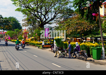 Man Delivers Chrysanthemums on Motorbike for Tet, Hoi An, Vietnam Stock Photo