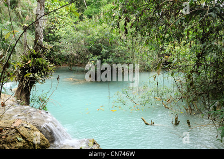 Pool of turquoise water at Kuang Si lower falls Luang Prabang Laos Stock Photo