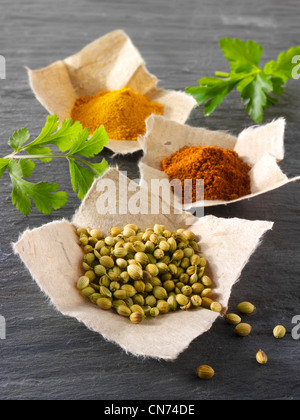 Coriander seed, ground chilli powder & ground turmeric spices composed arrangement Stock Photo