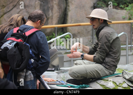 Naturalist sitting cross legged near touch tank teaching the visitors Stock Photo