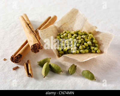 Cinamon sticks, cardamom & coriander seeds Stock Photo
