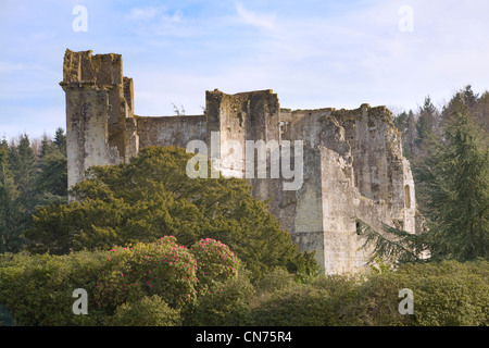 Old Wardour Castle, Wiltshire Stock Photo