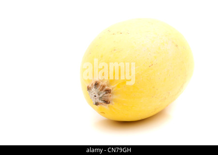 A single golden yellow spaghetti squash isolated over a white background. Stock Photo