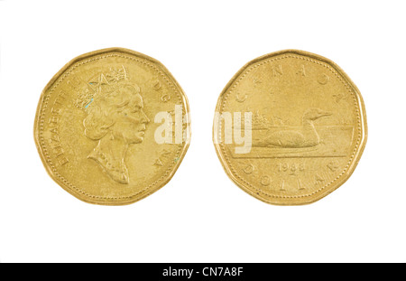 Canadian one dollar coin isolated on white background. Stock Photo