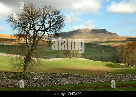 Pen-Y-Ghent mountain seen from Horton in Ribblesdale in the North Yorkshire Dales. Stock Photo