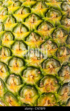 close up of pineapple skin Stock Photo
