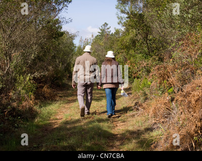 Rear view of couple walking hand in hand in the countryside Stock Photo