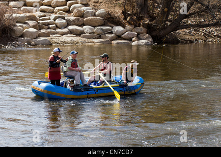 Female fly fisherman hooks a trout from an inflatable, guided raft.  Arkansas RIver, Salida, Colorado, USA Stock Photo