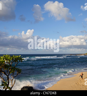 Surfers and windsurfer at Hookipa Beach Park on Maui Stock Photo