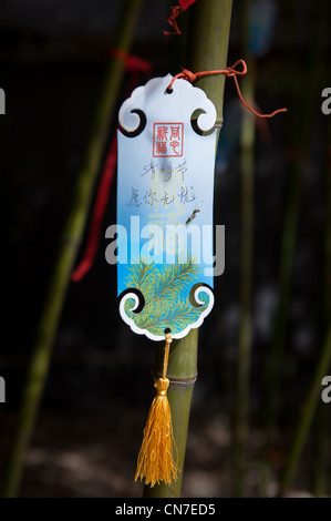 Beijing, Wanan cemetery. Tags with messages to deceased hanging in a bamboo forest. Stock Photo