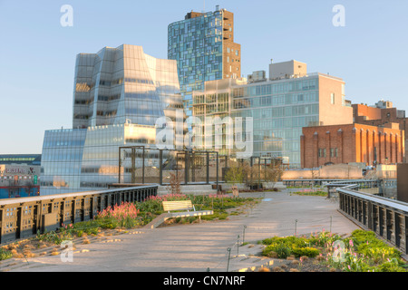 A view of the landscaping in High Line Park with the Frank Gehry designed IAC Building in the background in New York City. Stock Photo