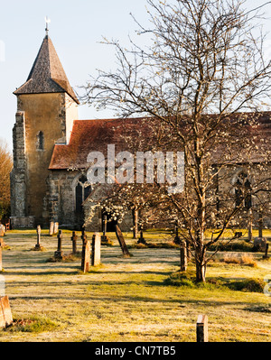 St Georges Church, Trotton, West Sussex in the early morning with early Spring blossom and slight frost on the ground. Stock Photo