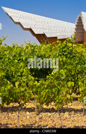 Spain, Spanish Basque Country, Alava Province, Rioja Alavesa, Laguardia, Ysios Bodegas winery designed by architect Santiago Stock Photo