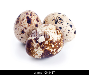 Quail eggs isolated on white background Stock Photo