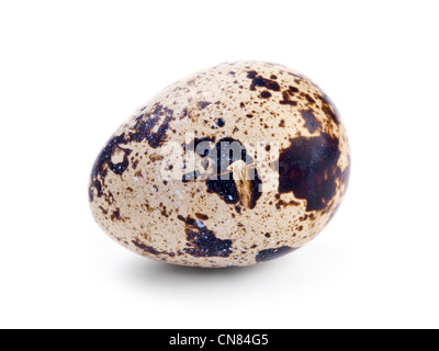 Quail eggs isolated on white background Stock Photo