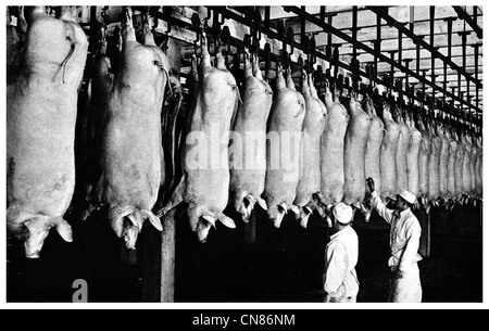 First published 1916 Inspection   Pig  slaughter house Stock Photo