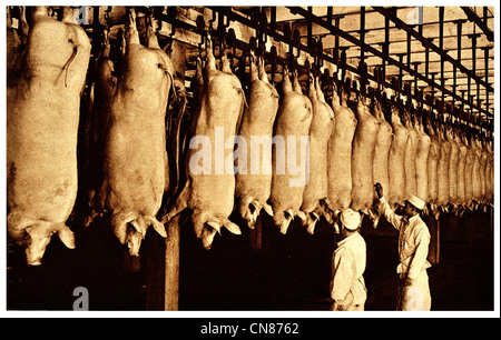 First published 1916 Inspection   Pig  slaughter house Stock Photo