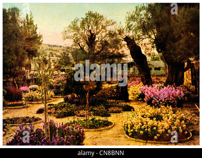 First published 1914  Gethsemane garden Stock Photo