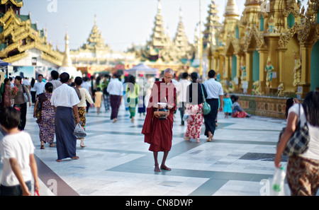 A Burmese monk collects alms in the Shwedagon Paya in Rangoon, Burma Stock Photo