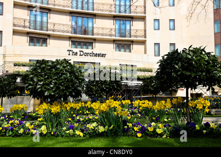 Front of the Dorchester Hotel London Stock Photo