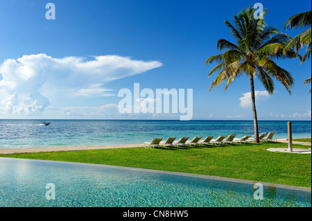 Bahamas, Grand Bahama Island, Freeport, Lucaya beach, swimming pool decorated with chairs under a palm tree overlooking the sea Stock Photo