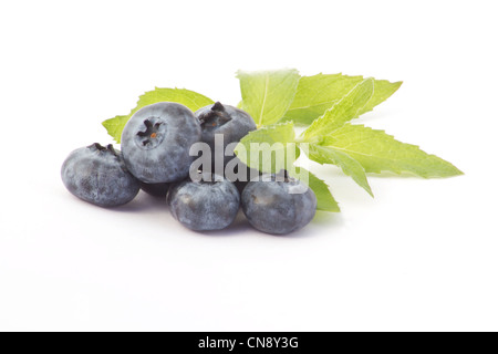 Blueberries and mint sprig on white background Stock Photo