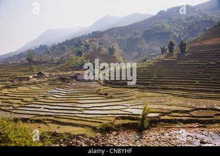 Terraced rice paddies in Lao Chai village near Sapa town, Vietnam Stock Photo