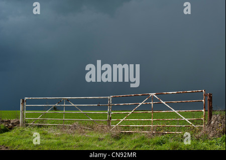 Stormy rain clouds over a sun lit wheat field in the English countryside Stock Photo