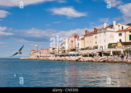 Slovenia, Gulf of Trieste, Adriatic Coast, Primorska Region, Piran Stock Photo