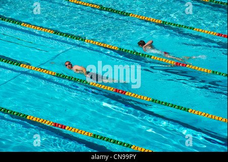 Australia, New South Wales, Sydney, North Sydney Olympic Swimming Pool with The Harbour Bridge and the Sydney City Center at Stock Photo