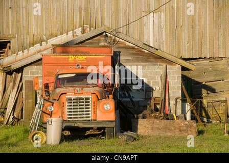 Red International truck outside barn near Chilliwack, British Colombia, Canada Stock Photo