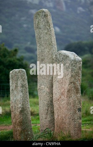 France, Corse du Sud, Sartene, archaeological site of Cauria, I Stantari alignment, standing stones Stock Photo