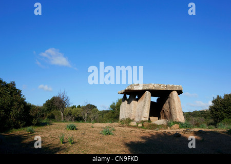France, Corse du Sud, Sartene, archaeological site of Cauria, dolmen Fontanaccia Stock Photo