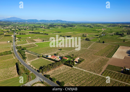 France, Vaucluse, Ste Cecile les Vignes, Domaine de la Grand'Ribe, vineyards AOC Cotes du Rhone (aerial view) Stock Photo